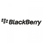 Batterijen & Accus - BlackBerry Battery Charger Bundle E-series Y-Cabl - ACC-39461-201