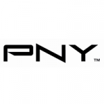 Memory Keys  - PNY HP SD CARDS CLASS 4 4GB - SD4GBHC4HP-EF